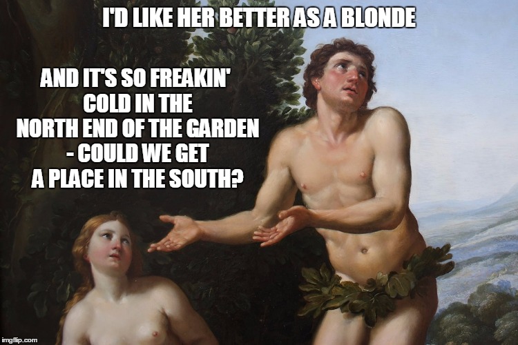 I'D LIKE HER BETTER AS A BLONDE AND IT'S SO FREAKIN' COLD IN THE NORTH END OF THE GARDEN - COULD WE GET A PLACE IN THE SOUTH? | made w/ Imgflip meme maker