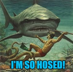 Shark, octopus, and no air | I'M SO HOSED! | image tagged in shark | made w/ Imgflip meme maker