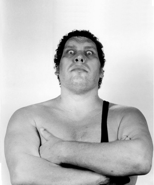 High Quality Andre the Giant Blank Meme Template