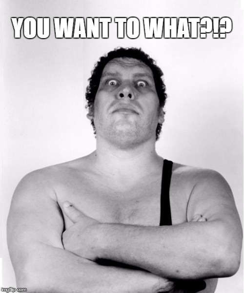 Andre the Giant | YOU WANT TO WHAT?!? | image tagged in andre the giant | made w/ Imgflip meme maker