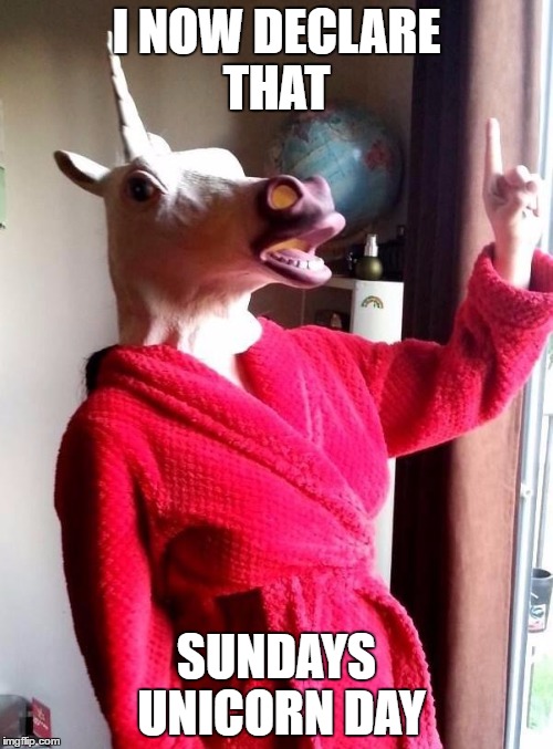 Hold your horses | I NOW DECLARE THAT; SUNDAYS UNICORN DAY | image tagged in hold your horses | made w/ Imgflip meme maker
