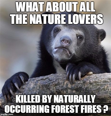 Confession Bear Meme | WHAT ABOUT ALL THE NATURE LOVERS KILLED BY NATURALLY OCCURRING FOREST FIRES ? | image tagged in memes,confession bear | made w/ Imgflip meme maker