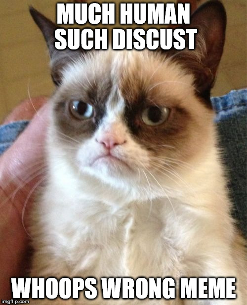 Grumpy Cat Meme | MUCH HUMAN SUCH DISCUST; WHOOPS WRONG MEME | image tagged in memes,grumpy cat | made w/ Imgflip meme maker