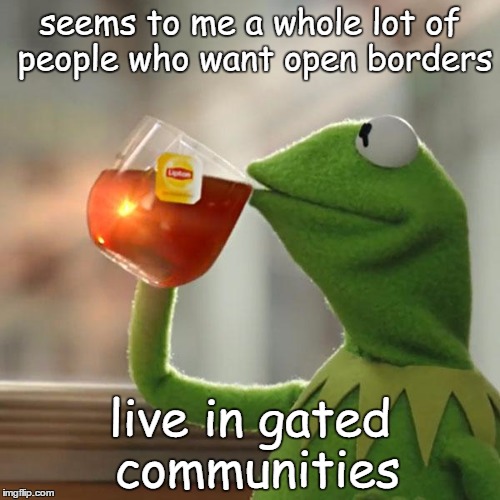 But That's None Of My Business | seems to me a whole lot of people who want open borders; live in gated communities | image tagged in memes,but thats none of my business,kermit the frog | made w/ Imgflip meme maker