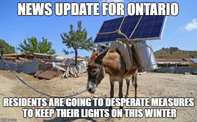 solar mule | NEWS UPDATE FOR ONTARIO; RESIDENTS ARE GOING TO DESPERATE MEASURES TO KEEP THEIR LIGHTS ON THIS WINTER | image tagged in solar mule | made w/ Imgflip meme maker