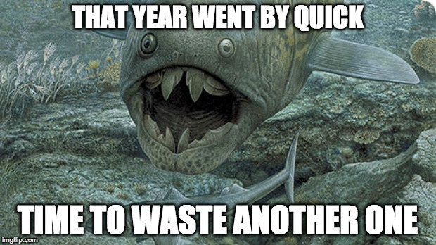 THAT YEAR WENT BY QUICK; TIME TO WASTE ANOTHER ONE | image tagged in fish | made w/ Imgflip meme maker