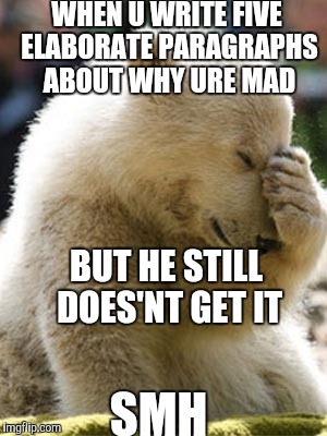 *communication difficulties*  | WHEN U WRITE FIVE ELABORATE PARAGRAPHS ABOUT WHY URE MAD; BUT HE STILL DOES'NT GET IT; SMH | image tagged in memes,facepalm bear | made w/ Imgflip meme maker