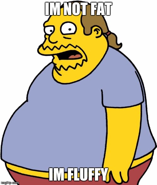 Comic Book Guy | IM NOT FAT; IM FLUFFY | image tagged in memes,comic book guy | made w/ Imgflip meme maker