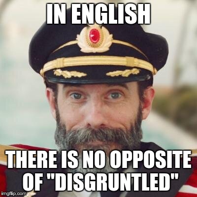 Captain Obvious | IN ENGLISH THERE IS NO OPPOSITE OF "DISGRUNTLED" | image tagged in captain obvious | made w/ Imgflip meme maker