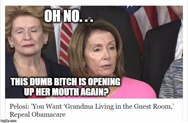 Pelosi Squeaks | OH NO. . . THIS DUMB B!TCH IS OPENING UP HER MOUTH AGAIN? | image tagged in political,political meme,pelosi oh no,nancy pelosi,funny memes | made w/ Imgflip meme maker
