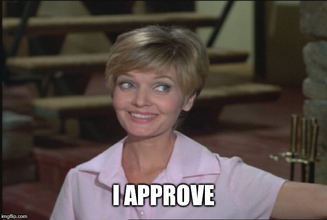 I APPROVE | made w/ Imgflip meme maker