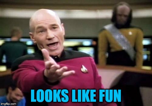 Picard Wtf Meme | LOOKS LIKE FUN | image tagged in memes,picard wtf | made w/ Imgflip meme maker