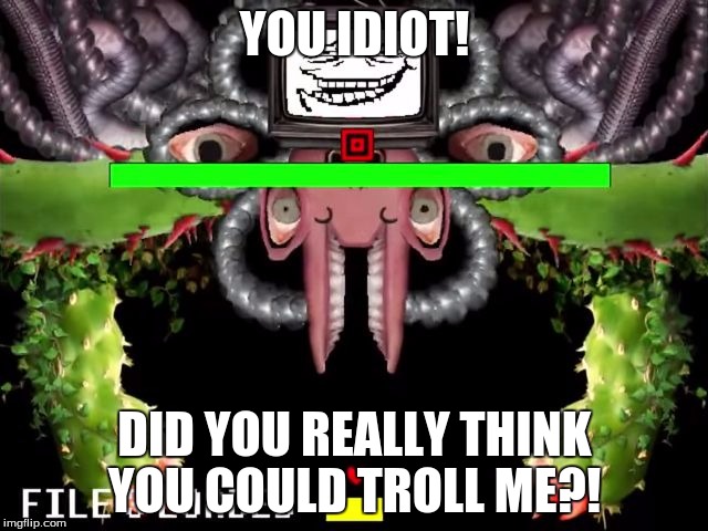Omega Flowey Troll Face | YOU IDIOT! DID YOU REALLY THINK YOU COULD TROLL ME?! | image tagged in omega flowey troll face | made w/ Imgflip meme maker