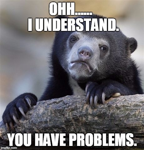 Confession Bear | OHH......  I UNDERSTAND. YOU HAVE PROBLEMS. | image tagged in memes,confession bear | made w/ Imgflip meme maker