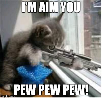 I'M AIM YOU; PEW PEW PEW! | image tagged in cats | made w/ Imgflip meme maker