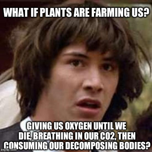 What if plants are farming us? | WHAT IF PLANTS ARE FARMING US? GIVING US OXYGEN UNTIL WE DIE, BREATHING IN OUR CO2, THEN CONSUMING OUR DECOMPOSING BODIES? | image tagged in memes,conspiracy keanu,plants | made w/ Imgflip meme maker