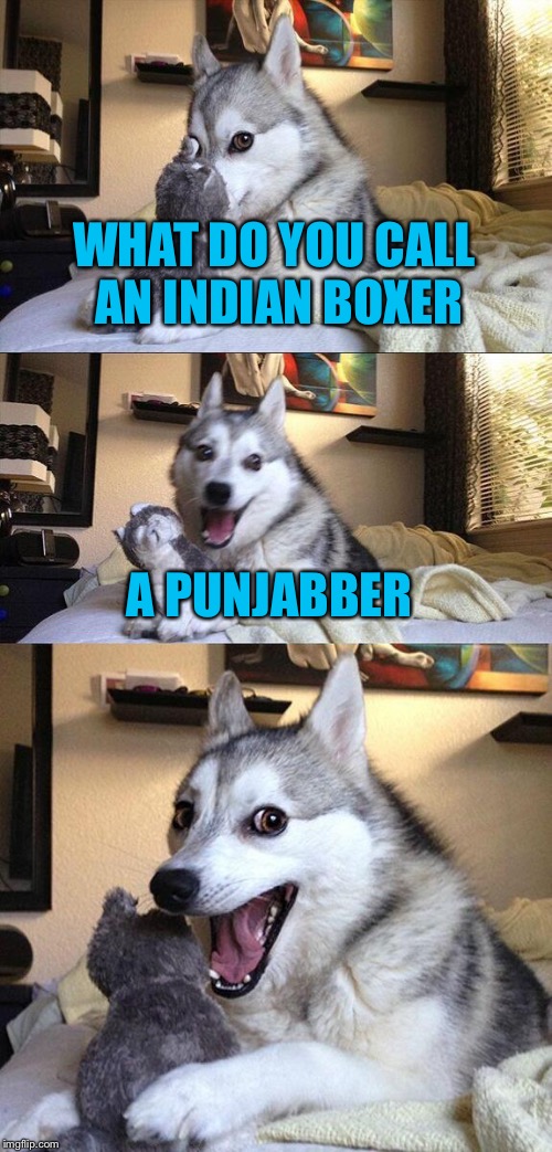 Bad Pun Dog | WHAT DO YOU CALL AN INDIAN BOXER; A PUNJABBER | image tagged in memes,bad pun dog | made w/ Imgflip meme maker