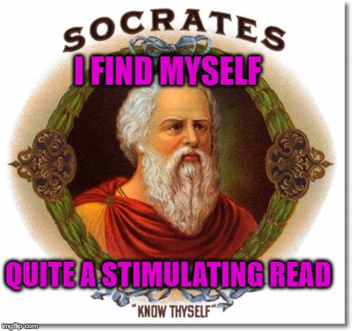 I FIND MYSELF QUITE A STIMULATING READ | image tagged in socrates | made w/ Imgflip meme maker