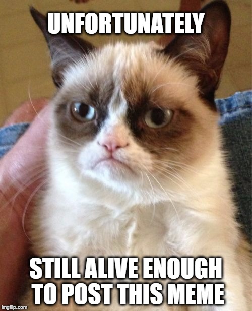 Grumpy Cat Meme | UNFORTUNATELY STILL ALIVE ENOUGH TO POST THIS MEME | image tagged in memes,grumpy cat | made w/ Imgflip meme maker