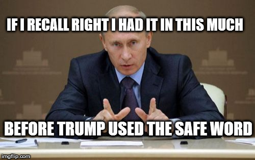 Vladimir Putin | IF I RECALL RIGHT I HAD IT IN THIS MUCH; BEFORE TRUMP USED THE SAFE WORD | image tagged in memes,vladimir putin | made w/ Imgflip meme maker
