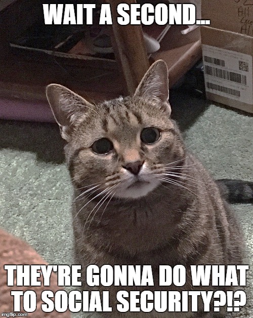 Worried Cat | WAIT A SECOND... THEY'RE GONNA DO WHAT TO SOCIAL SECURITY?!? | image tagged in worried cat | made w/ Imgflip meme maker