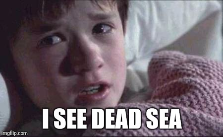 I See Dead People Meme | I SEE DEAD SEA | image tagged in memes,i see dead people | made w/ Imgflip meme maker