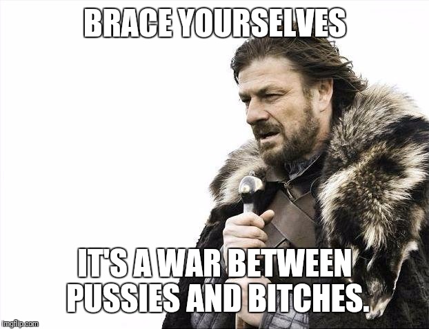 BRACE YOURSELVES IT'S A WAR BETWEEN PUSSIES AND B**CHES. | image tagged in memes,brace yourselves x is coming | made w/ Imgflip meme maker