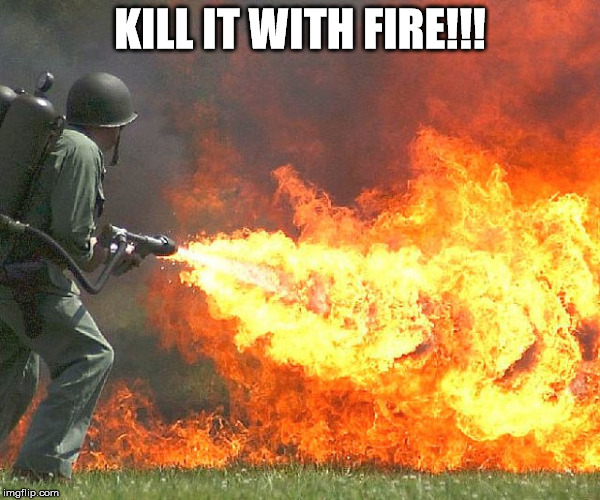 Flamethrower | KILL IT WITH FIRE!!! | image tagged in flamethrower | made w/ Imgflip meme maker
