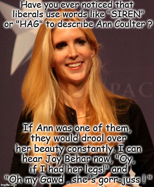 Ann Coulter  | Have you ever noticed that liberals use words like "SIREN" or "HAG" to describe Ann Coulter ? If Ann was one of them, they would drool over her beauty constantly. I can hear Joy Behar now, "Oy, if I had her legs!" and "Oh my Gawd , she's gorr-juss ! " | image tagged in ann coulter | made w/ Imgflip meme maker