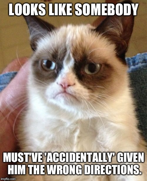 Grumpy Cat Meme | LOOKS LIKE SOMEBODY MUST'VE 'ACCIDENTALLY' GIVEN HIM THE WRONG DIRECTIONS. | image tagged in memes,grumpy cat | made w/ Imgflip meme maker