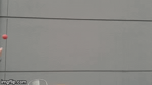 Juggling & skating Eric Herberholz @erich13 | image tagged in gifs,erich13 | made w/ Imgflip video-to-gif maker