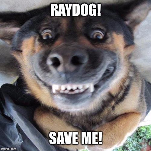 RAYDOG! SAVE ME! | made w/ Imgflip meme maker