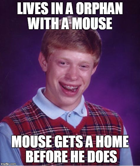 the mouse name was Stuart little   | LIVES IN A ORPHAN WITH A MOUSE; MOUSE GETS A HOME BEFORE HE DOES | image tagged in memes,bad luck brian | made w/ Imgflip meme maker