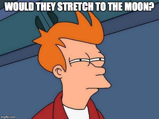 Futurama Fry Meme | WOULD THEY STRETCH TO THE MOON? | image tagged in memes,futurama fry | made w/ Imgflip meme maker