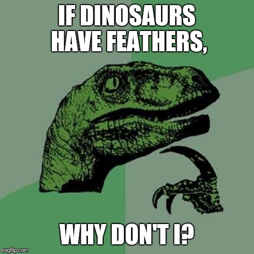 Philosoraptor | IF DINOSAURS HAVE FEATHERS, WHY DON'T I? | image tagged in memes,philosoraptor | made w/ Imgflip meme maker