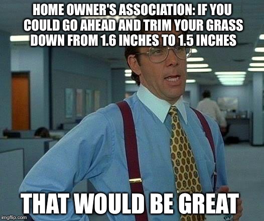 That Would Be Great | HOME OWNER'S ASSOCIATION: IF YOU COULD GO AHEAD AND TRIM YOUR GRASS DOWN FROM 1.6 INCHES TO 1.5 INCHES; THAT WOULD BE GREAT | image tagged in memes,that would be great | made w/ Imgflip meme maker
