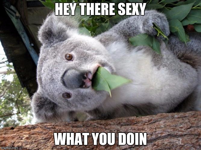 Surprised Koala |  HEY THERE SEXY; WHAT YOU DOIN | image tagged in memes,surprised koala | made w/ Imgflip meme maker