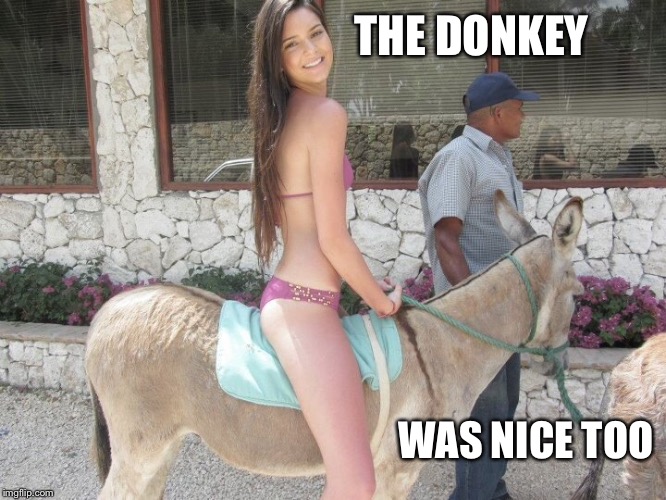 THE DONKEY WAS NICE TOO | made w/ Imgflip meme maker