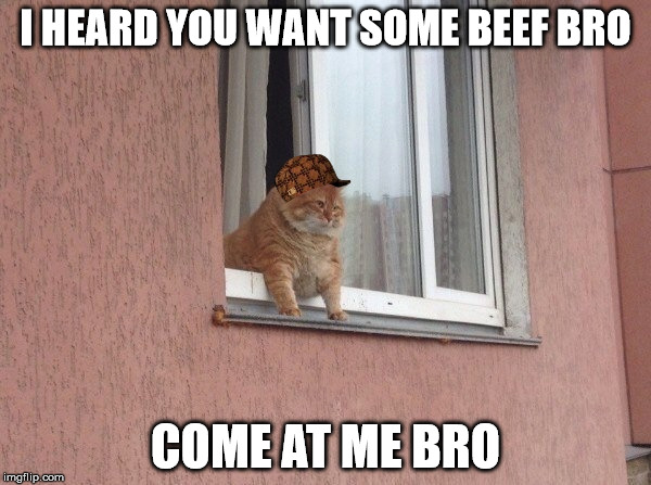 Beef Bro | I HEARD YOU WANT SOME BEEF BRO; COME AT ME BRO | image tagged in got beef,come at me bro | made w/ Imgflip meme maker