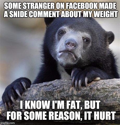 Confession Bear Meme | SOME STRANGER ON FACEBOOK MADE A SNIDE COMMENT ABOUT MY WEIGHT; I KNOW I'M FAT, BUT FOR SOME REASON, IT HURT | image tagged in memes,confession bear | made w/ Imgflip meme maker