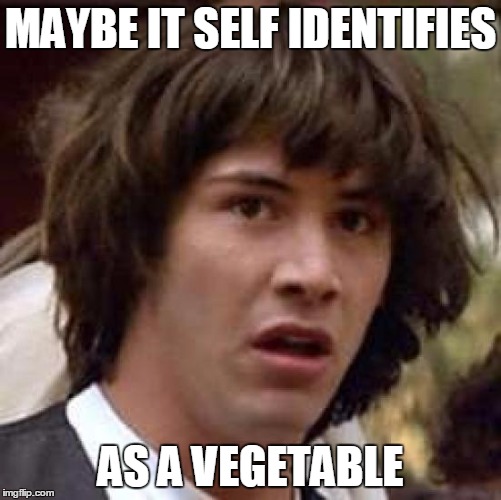 Conspiracy Keanu Meme | MAYBE IT SELF IDENTIFIES AS A VEGETABLE | image tagged in memes,conspiracy keanu | made w/ Imgflip meme maker