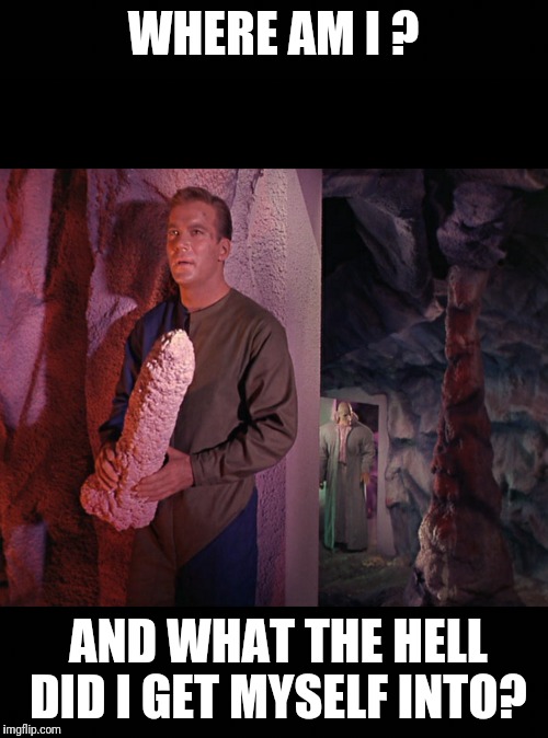 WHERE AM I ? AND WHAT THE HELL DID I GET MYSELF INTO? | image tagged in bad pun star trek | made w/ Imgflip meme maker