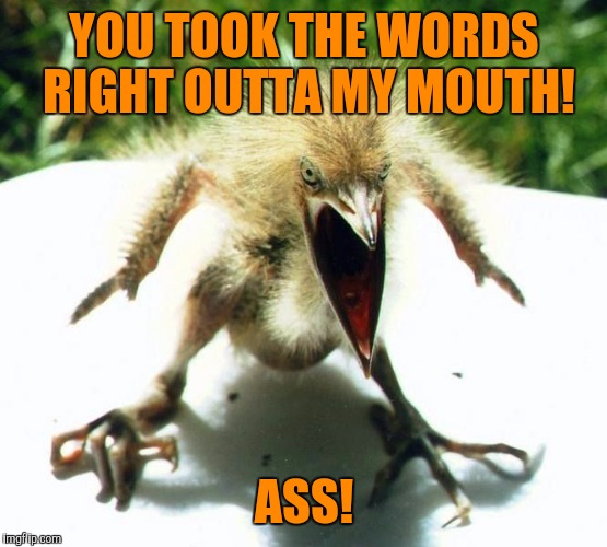 Angry bird | YOU TOOK THE WORDS RIGHT OUTTA MY MOUTH! ASS! | image tagged in angry bird | made w/ Imgflip meme maker