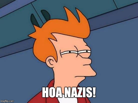 Futurama Fry Meme | HOA NAZIS! | image tagged in memes,futurama fry | made w/ Imgflip meme maker
