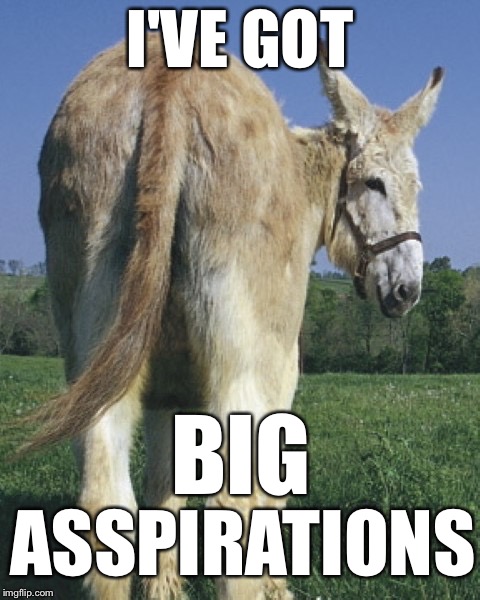 donkey ass | I'VE GOT; BIG; ASSPIRATIONS | image tagged in donkey ass | made w/ Imgflip meme maker