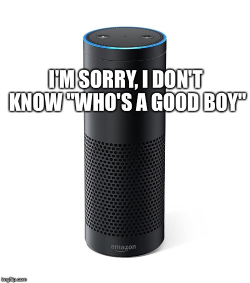 Amazon Echo | I'M SORRY, I DON'T KNOW "WHO'S A GOOD BOY" | image tagged in amazon echo | made w/ Imgflip meme maker
