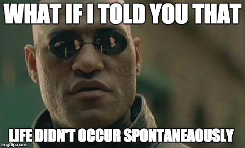 Matrix Morpheus | WHAT IF I TOLD YOU THAT; LIFE DIDN'T OCCUR SPONTANEAOUSLY | image tagged in memes,matrix morpheus | made w/ Imgflip meme maker