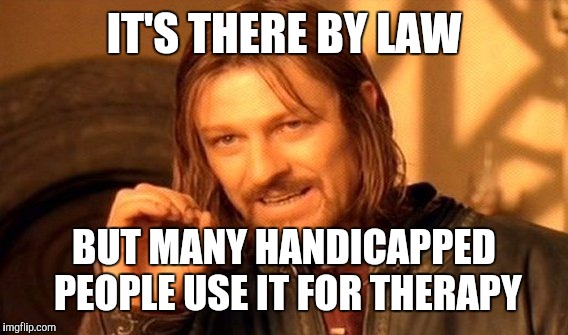 One Does Not Simply Meme | IT'S THERE BY LAW BUT MANY HANDICAPPED PEOPLE USE IT FOR THERAPY | image tagged in memes,one does not simply | made w/ Imgflip meme maker