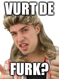 VURT DE; FURK? | image tagged in blond mullet | made w/ Imgflip meme maker