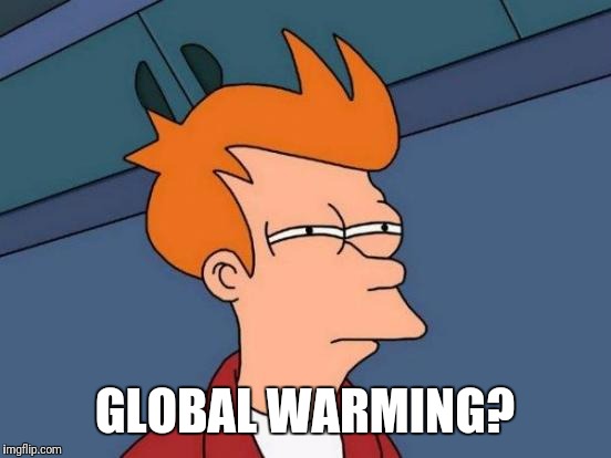 Futurama Fry Meme | GLOBAL WARMING? | image tagged in memes,futurama fry | made w/ Imgflip meme maker